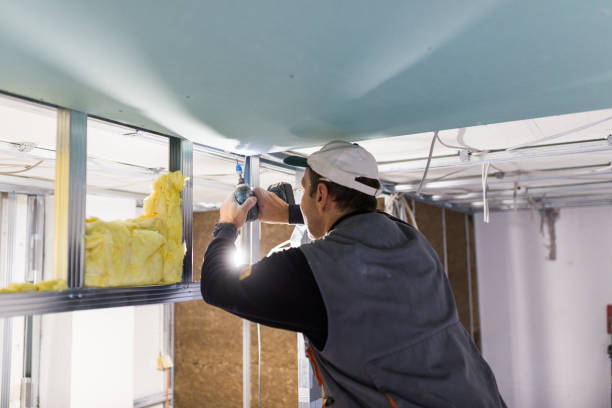 Best Cellulose Insulation in Alum Creek, WV