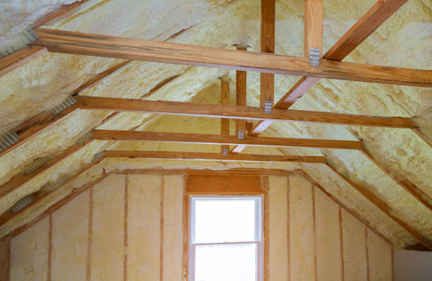 Best Cellulose Insulation in Alum Creek, WV