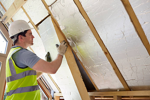 Best Geographic-Specific Insulation Services in Alum Creek, WV