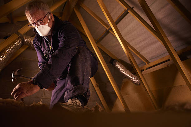 Types of Insulation We Offer in Alum Creek, WV